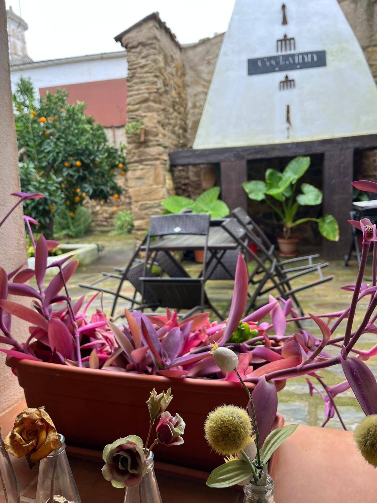 Ceclavinn Casa Rural Exteriér fotografie